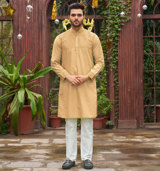 Traditional Chiku Men Kurta