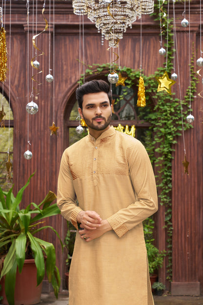Traditional Chiku Men Kurta